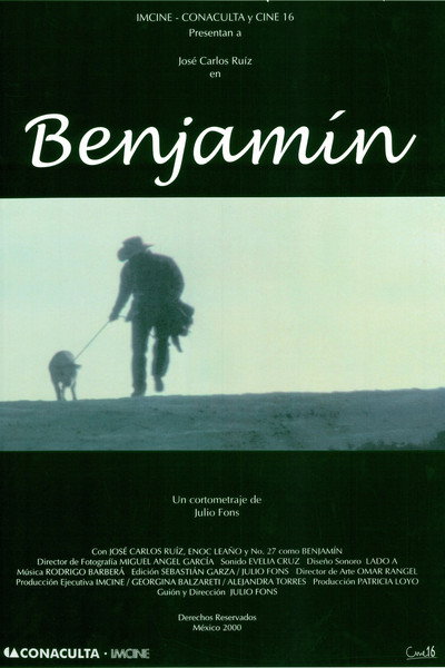 Póster de Benjamín