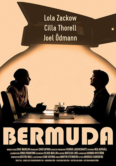 Póster de Bermooda