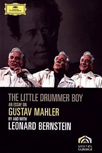Póster de Bernstein on Mahler