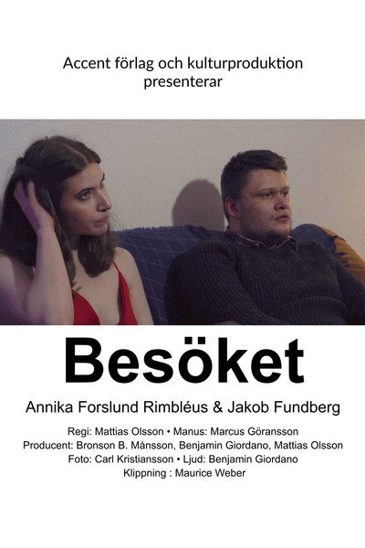 Póster de Besöket