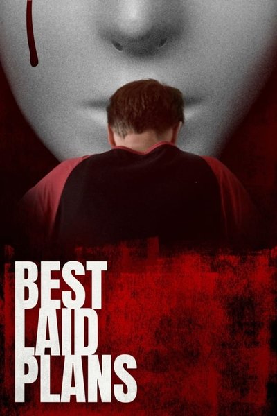 Póster de Best Laid Plans