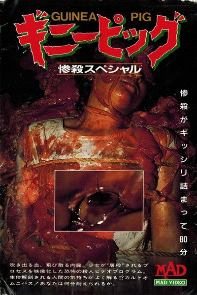 Póster de Best of Guinea Pig 1-4