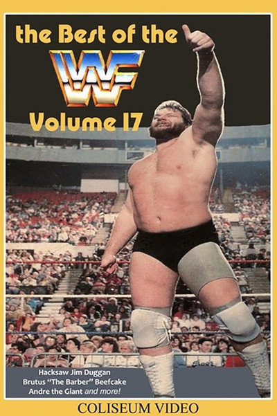 Póster de Best of the WWF Volume 17