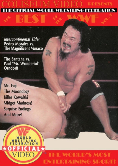 Póster de Best of the WWF Volume 2