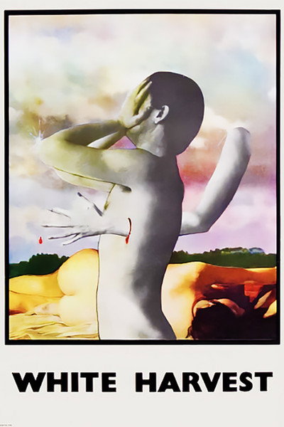 Póster de Bestia