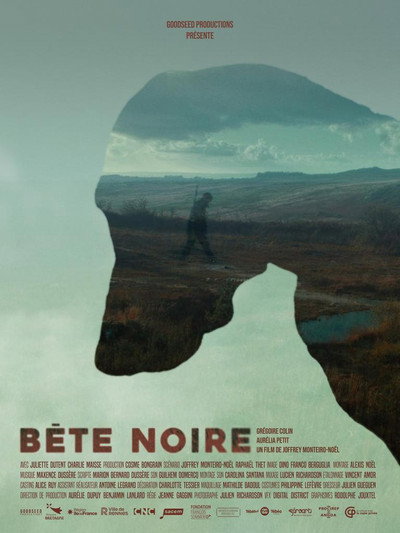 Póster de Bête noire