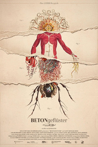 Póster de Betongeflüster