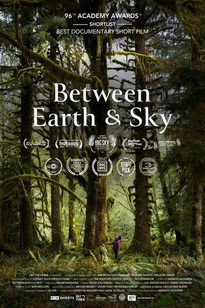 Póster de Between Earth & Sky