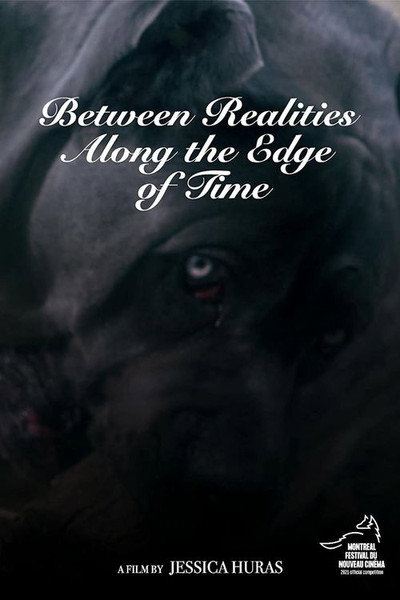 Póster de Between Realities Along the Edge of Time