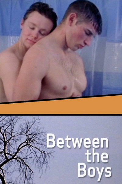 Póster de Between the Boys