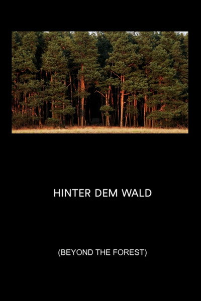 Póster de Beyond the Forest