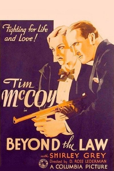 Póster de Beyond the Law