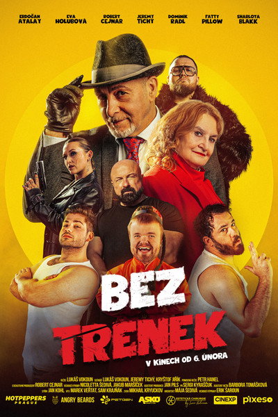 Póster de Bez trenek