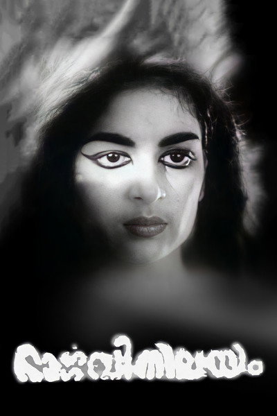 Póster de Bhargavi Nilayam