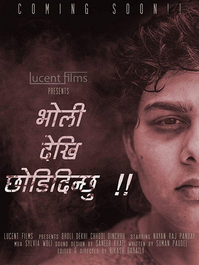 Póster de Bholi Dekhi Chhodi Dinchhu