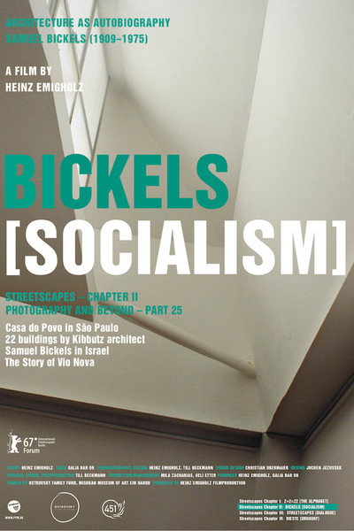 Póster de Bickels: Socialism