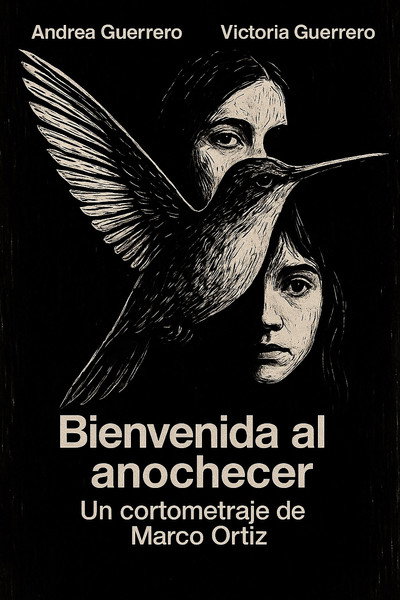 Póster de Bienvenida al anochecer