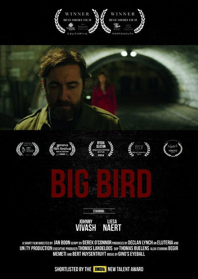 Póster de Big bird