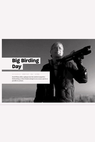 Póster de Big Birding Day
