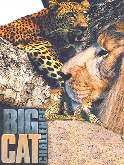 Póster de Big Cat Challenge