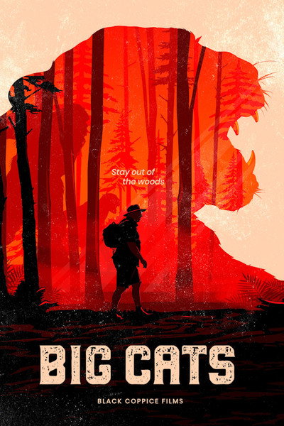 Póster de Big Cats