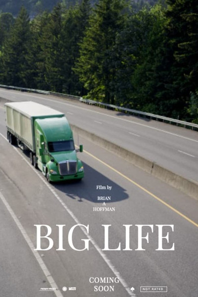 Póster de Big Life