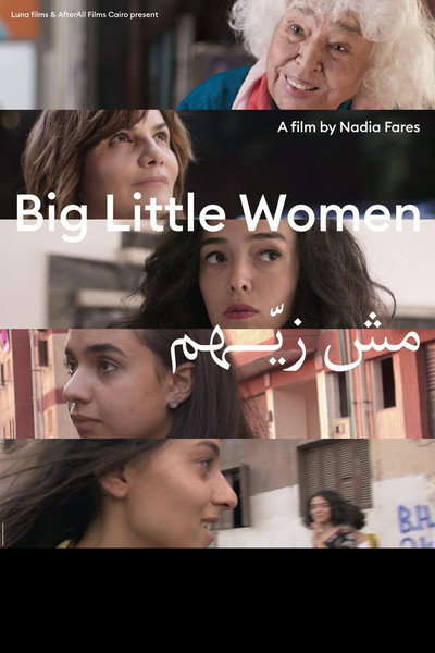 Póster de Big Little Women