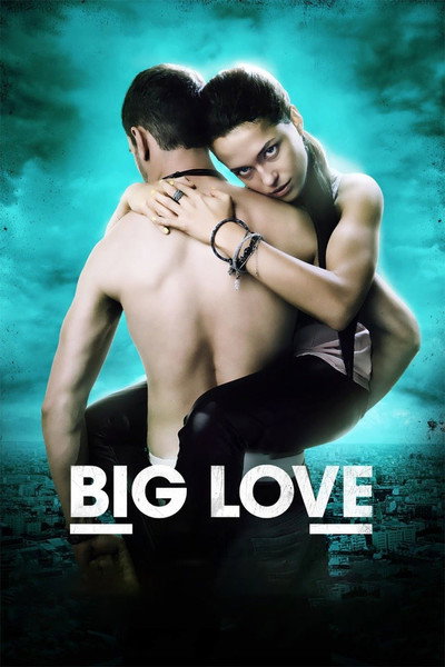 Póster de Big Love