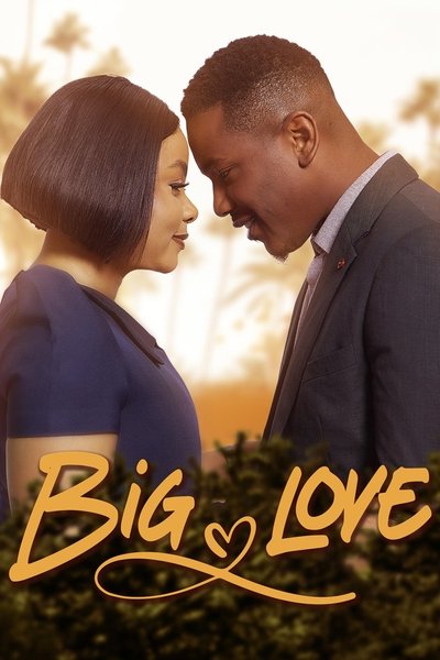 Póster de Big Love