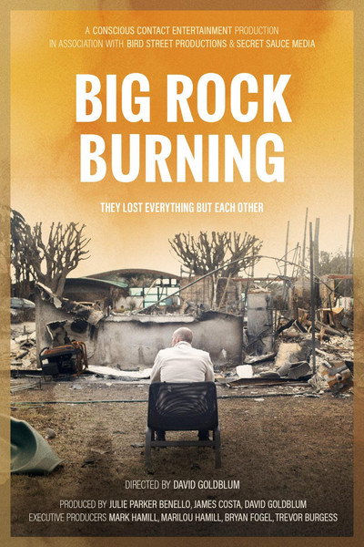 Póster de Big Rock Burning