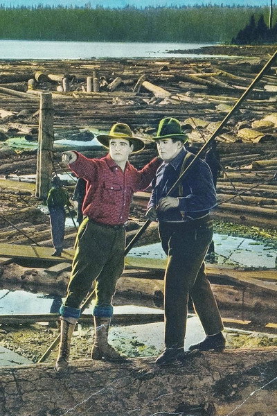 Póster de Big Timber