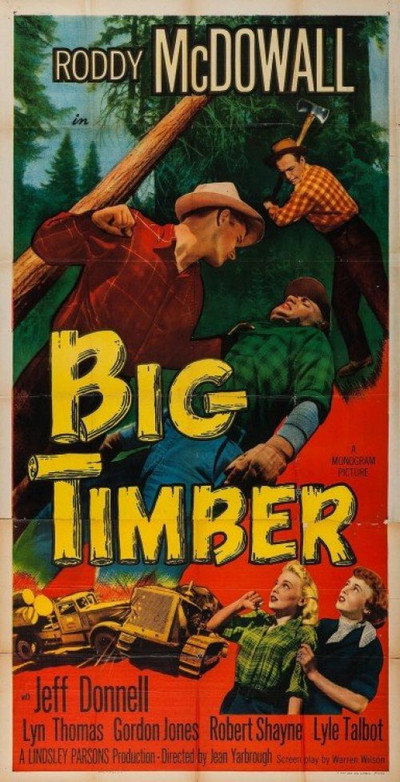 Póster de Big Timber