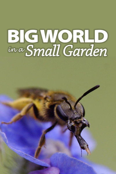 Póster de Big World in a Small Garden