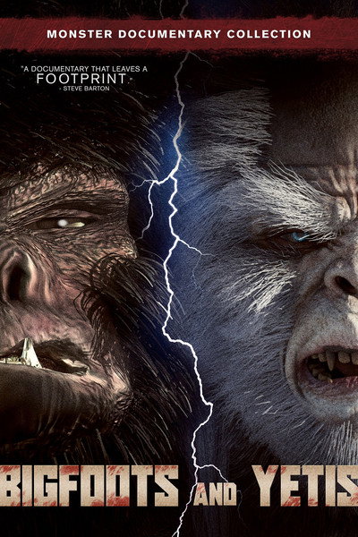 Póster de Bigfoots and Yetis