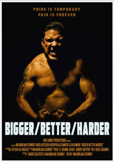 Póster de Bigger/Better/Harder