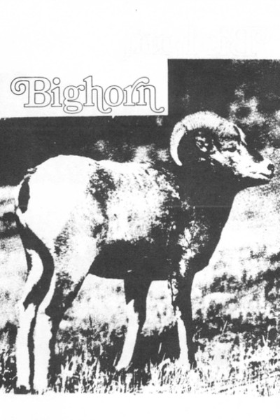 Póster de Bighorn