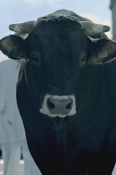 Póster de Bik