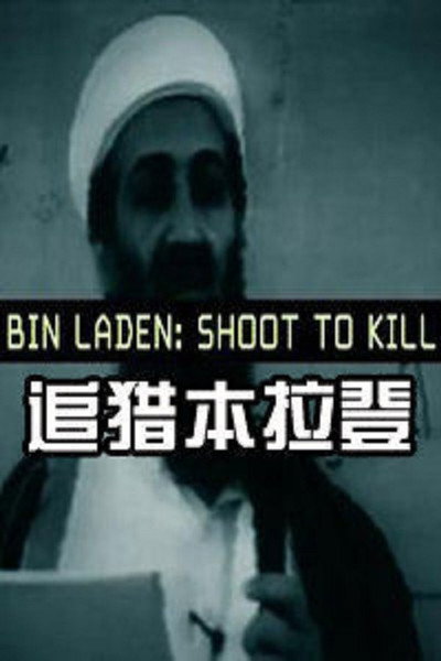 Póster de Bin Laden: Shoot to Kill