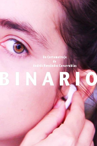 Póster de Binary