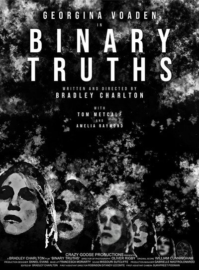 Póster de Binary Truths