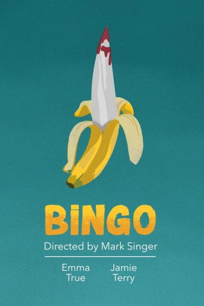 Póster de Bingo