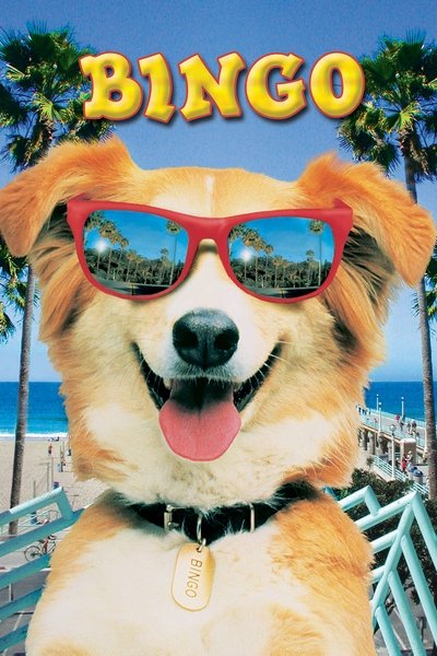 Póster de Bingo!