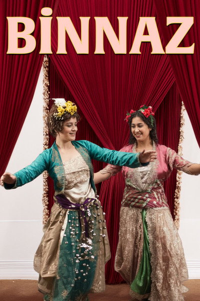 Póster de Binnaz