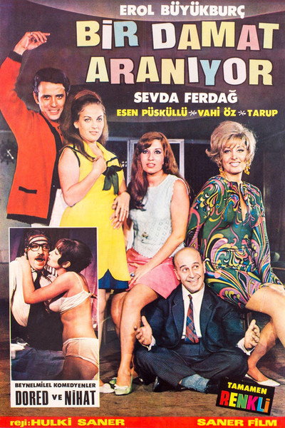 Póster de Bir Damat Araniyor