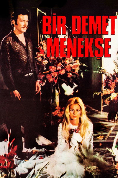 Póster de Bir Demet Menekse
