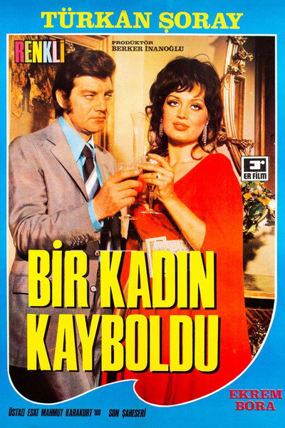 Póster de Bir Kadin Kayboldu