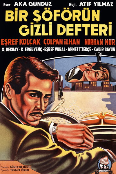 Póster de Bir soförün gizli defteri