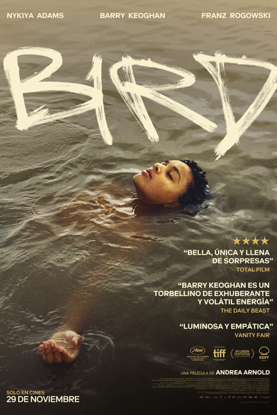 Póster de Bird