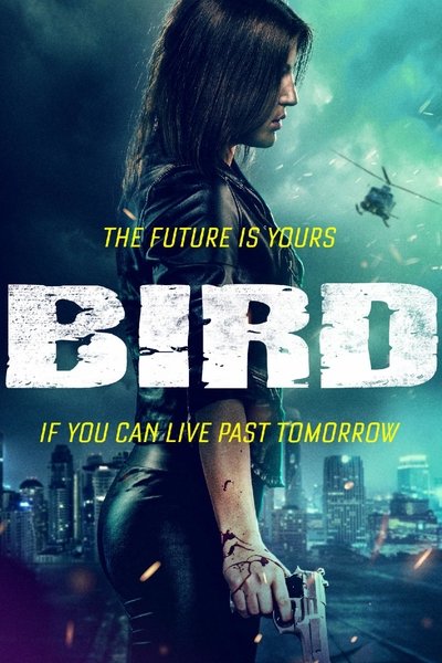 Póster de Bird