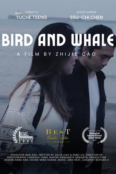 Póster de Bird and Whale